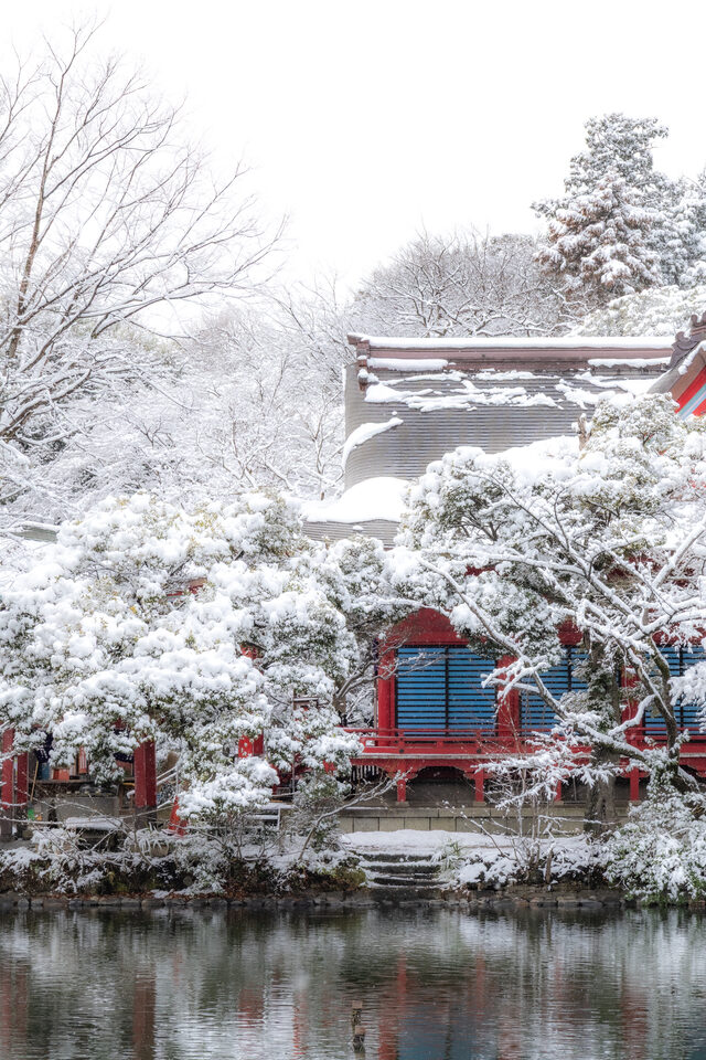 Tokyo - Japan, February 2026