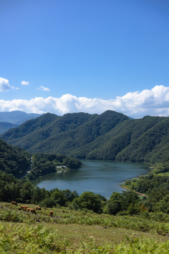 Chuncheon - Korea, August 2025