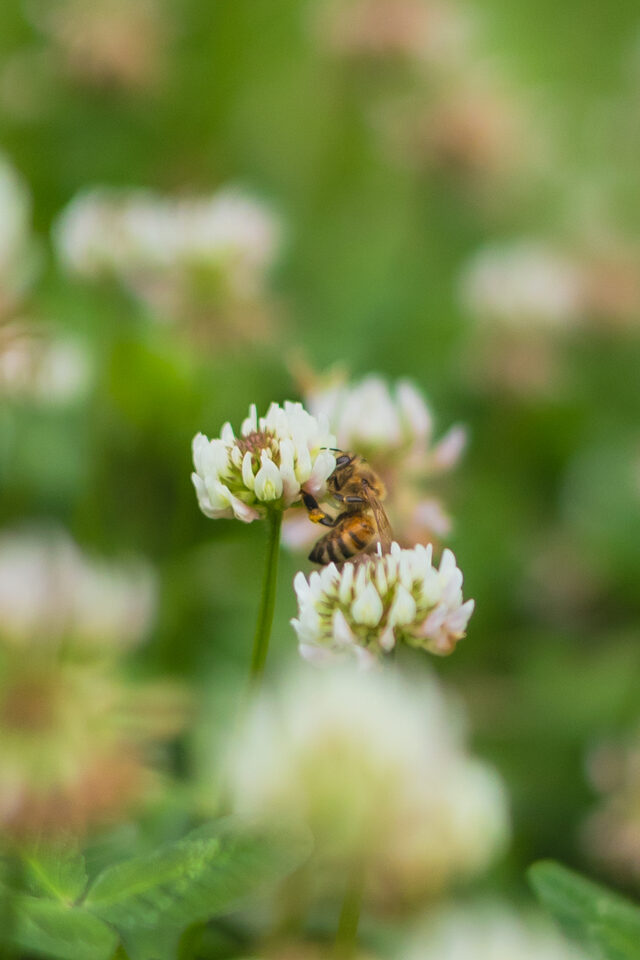 Seoul - Korea, May 2025